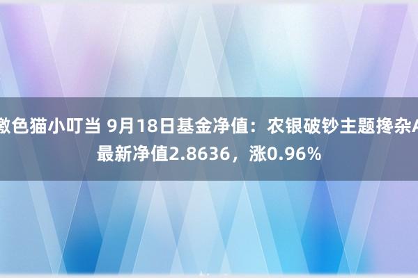 激色猫小叮当 9月18日基金净值：农银破钞主题搀杂A最新净值2.8636，涨0.96%