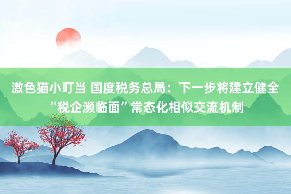 激色猫小叮当 国度税务总局：下一步将建立健全“税企濒临面”常态化相似交流机制