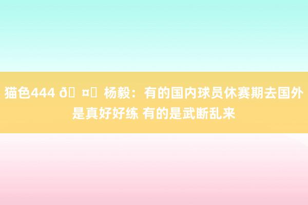 猫色444 🤐杨毅：有的国内球员休赛期去国外是真好好练 有的是武断乱来