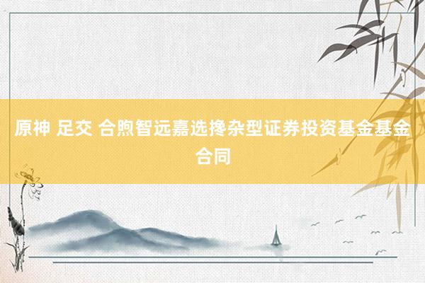原神 足交 合煦智远嘉选搀杂型证券投资基金基金合同