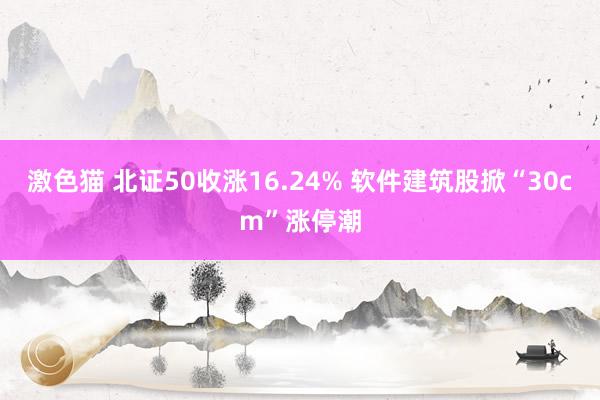激色猫 北证50收涨16.24% 软件建筑股掀“30cm”涨停潮