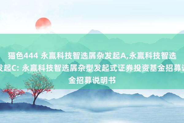 猫色444 永赢科技智选羼杂发起A,永赢科技智选羼杂发起C: 永赢科技智选羼杂型发起式证券投资基金招募说明书