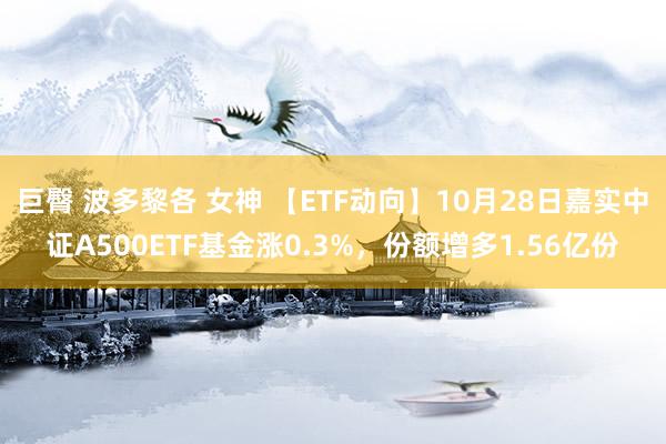 巨臀 波多黎各 女神 【ETF动向】10月28日嘉实中证A500ETF基金涨0.3%，份额增多1.56亿份