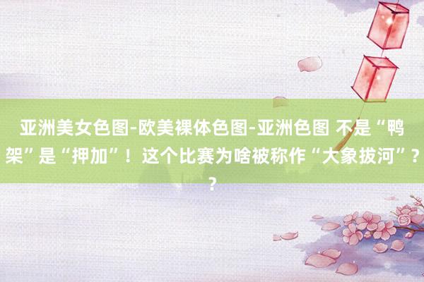 亚洲美女色图-欧美裸体色图-亚洲色图 不是“鸭架”是“押加”！这个比赛为啥被称作“大象拔河”？