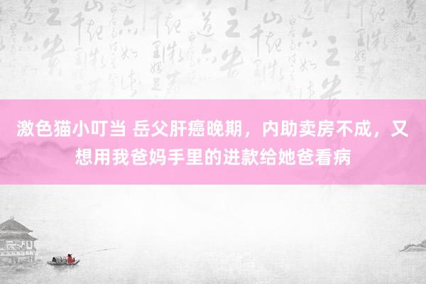 激色猫小叮当 岳父肝癌晚期，内助卖房不成，又想用我爸妈手里的进款给她爸看病