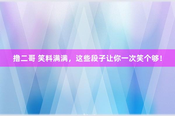 撸二哥 笑料满满，这些段子让你一次笑个够！