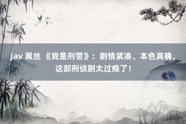 jav 黑丝 《我是刑警》：剧情紧凑、本色真确，这部刑侦剧太过瘾了！