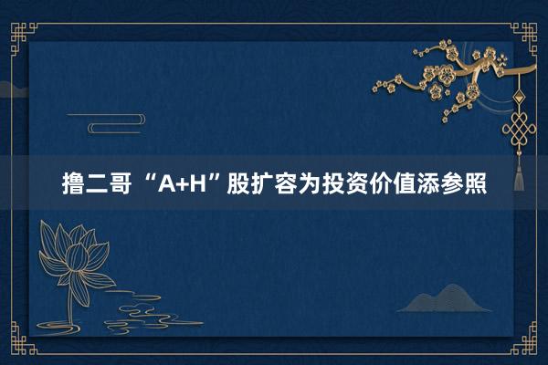 撸二哥 “A+H”股扩容为投资价值添参照