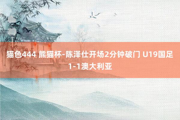 猫色444 熊猫杯-陈泽仕开场2分钟破门 U19国足1-1澳大利亚