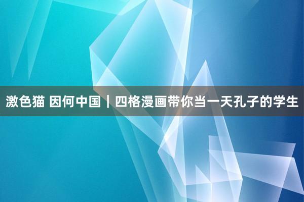 激色猫 因何中国｜四格漫画带你当一天孔子的学生