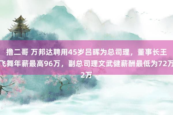 撸二哥 万邦达聘用45岁吕晖为总司理，董事长王飞舞年薪最高96万，副总司理文武健薪酬最低为72万