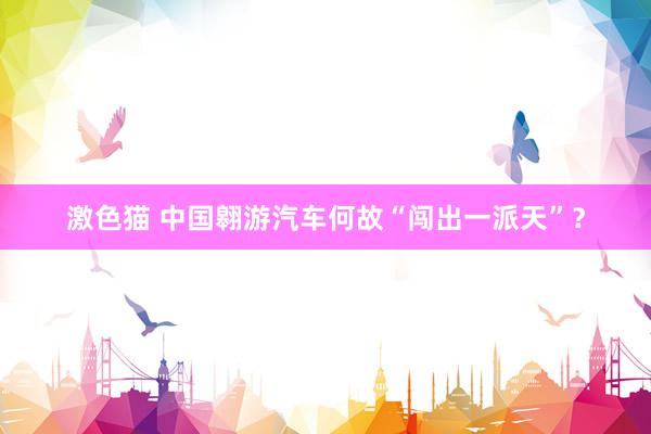 激色猫 中国翱游汽车何故“闯出一派天”？
