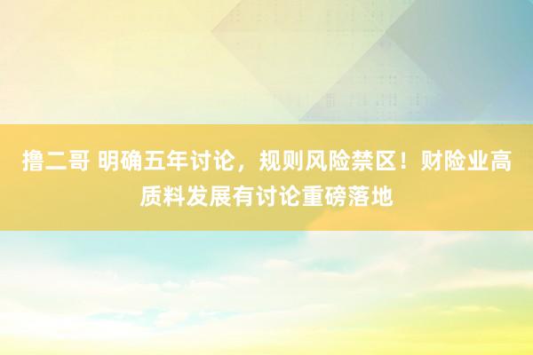 撸二哥 明确五年讨论，规则风险禁区！财险业高质料发展有讨论重磅落地