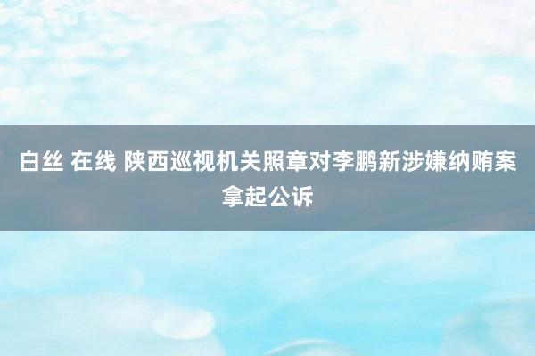 白丝 在线 陕西巡视机关照章对李鹏新涉嫌纳贿案拿起公诉