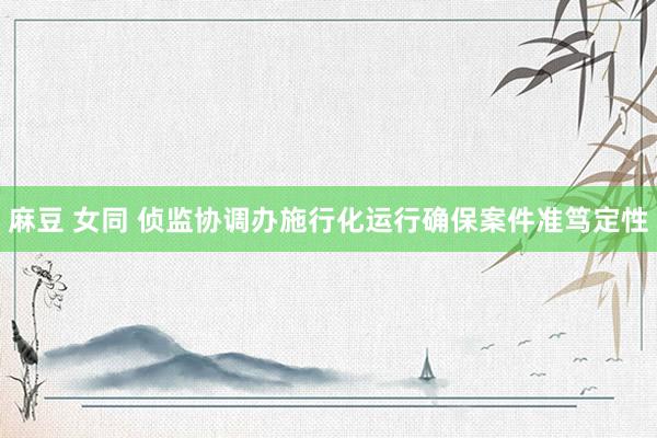 麻豆 女同 侦监协调办施行化运行确保案件准笃定性