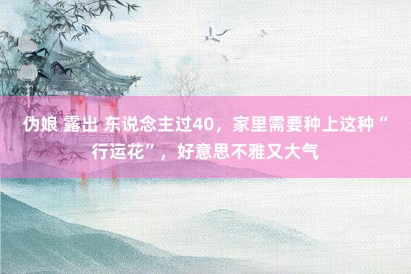 伪娘 露出 东说念主过40，家里需要种上这种“行运花”，好意思不雅又大气