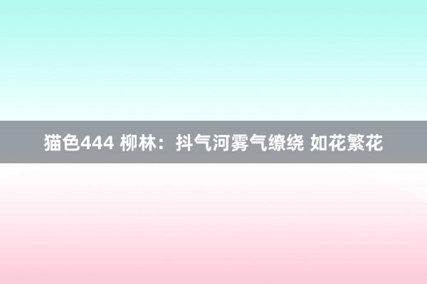 猫色444 柳林：抖气河雾气缭绕 如花繁花