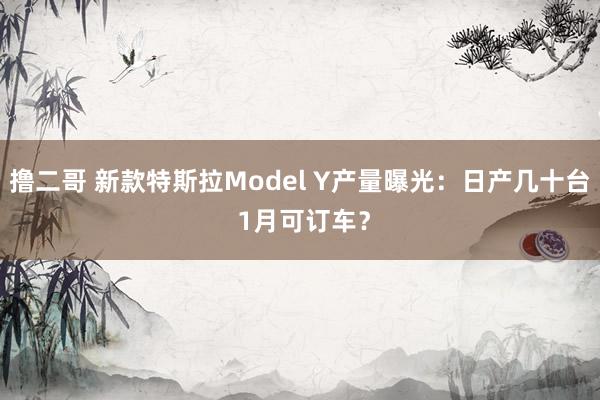 撸二哥 新款特斯拉Model Y产量曝光：日产几十台 1月可订车？