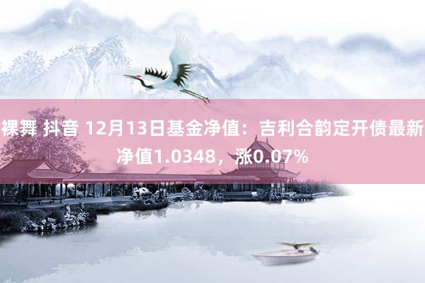 裸舞 抖音 12月13日基金净值：吉利合韵定开债最新净值1.0348，涨0.07%