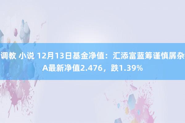 调教 小说 12月13日基金净值：汇添富蓝筹谨慎羼杂A最新净值2.476，跌1.39%