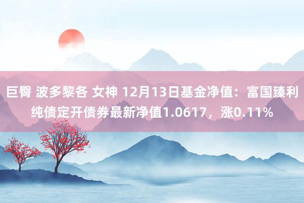 巨臀 波多黎各 女神 12月13日基金净值：富国臻利纯债定开债券最新净值1.0617，涨0.11%