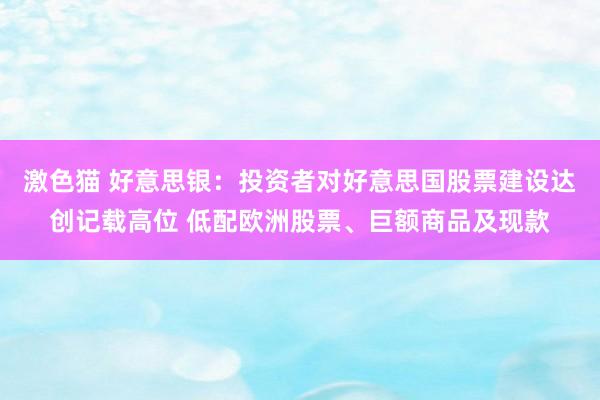 激色猫 好意思银：投资者对好意思国股票建设达创记载高位 低配欧洲股票、巨额商品及现款