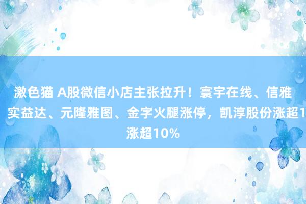 激色猫 A股微信小店主张拉升！寰宇在线、信雅达、实益达、元隆雅图、金字火腿涨停，凯淳股份涨超10%
