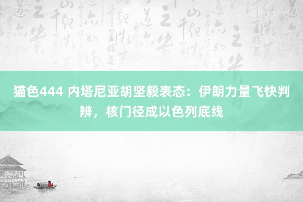 猫色444 内塔尼亚胡坚毅表态：伊朗力量飞快判辨，核门径成以色列底线