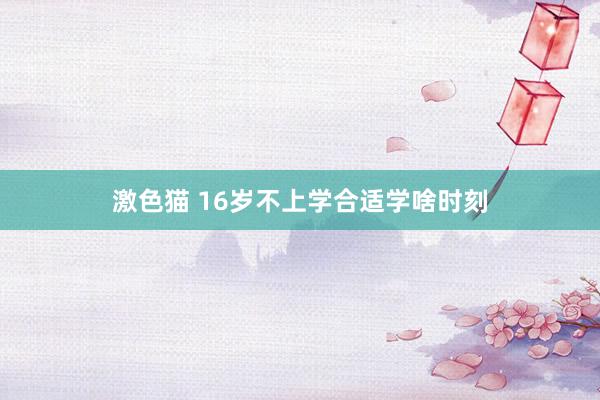 激色猫 16岁不上学合适学啥时刻