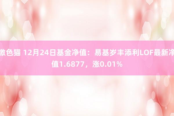 激色猫 12月24日基金净值：易基岁丰添利LOF最新净值1.6877，涨0.01%