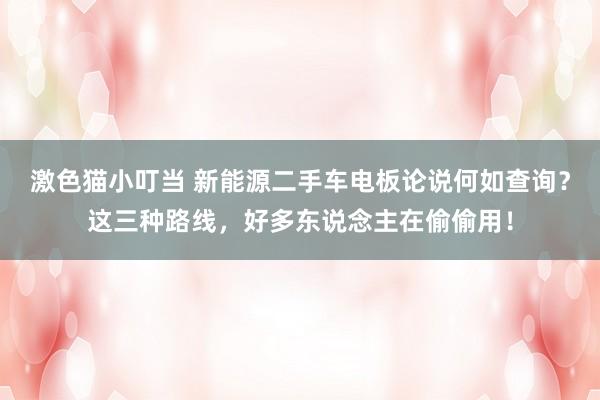 激色猫小叮当 新能源二手车电板论说何如查询？这三种路线，好多东说念主在偷偷用！