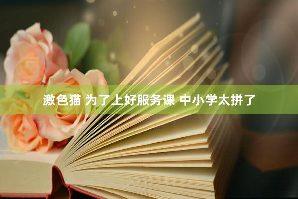 激色猫 为了上好服务课 中小学太拼了