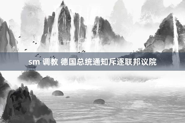 sm 调教 德国总统通知斥逐联邦议院