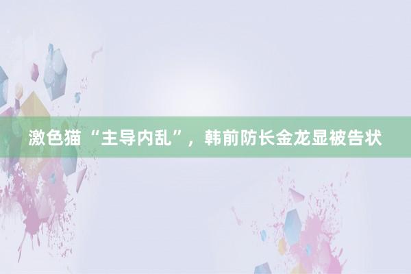 激色猫 “主导内乱”，韩前防长金龙显被告状
