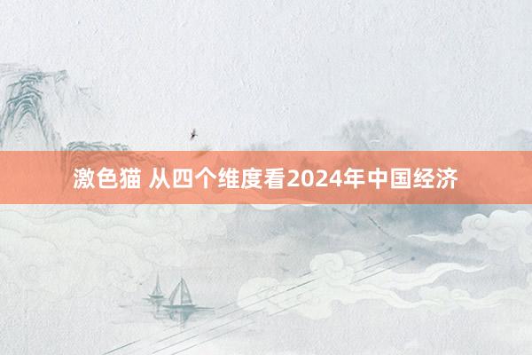 激色猫 从四个维度看2024年中国经济