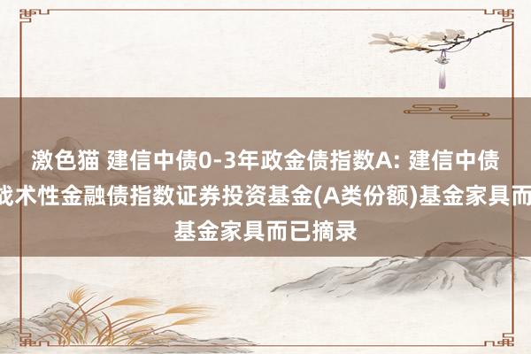 激色猫 建信中债0-3年政金债指数A: 建信中债0-3年战术性金融债指数证券投资基金(A类份额)基金家具而已摘录