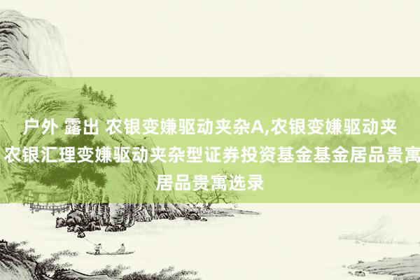户外 露出 农银变嫌驱动夹杂A,农银变嫌驱动夹杂C: 农银汇理变嫌驱动夹杂型证券投资基金基金居品贵寓选录