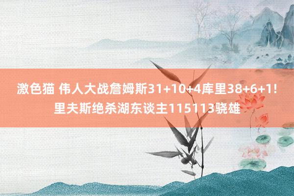 激色猫 伟人大战詹姆斯31+10+4库里38+6+1!里夫斯绝杀湖东谈主115113骁雄
