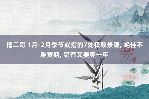 撸二哥 1月-2月季节戒指的7处极致景观， 绝佳不雅赏期， 错有又要等一年