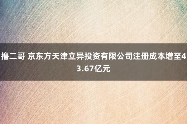 撸二哥 京东方天津立异投资有限公司注册成本增至43.67亿元