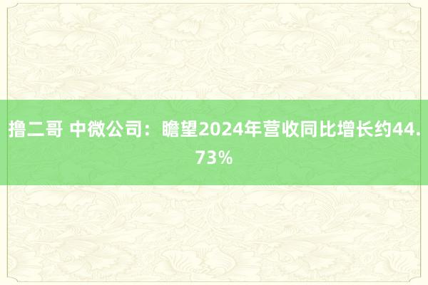 撸二哥 中微公司：瞻望2024年营收同比增长约44.73%