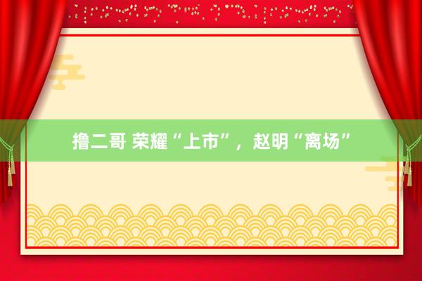 撸二哥 荣耀“上市”，赵明“离场”