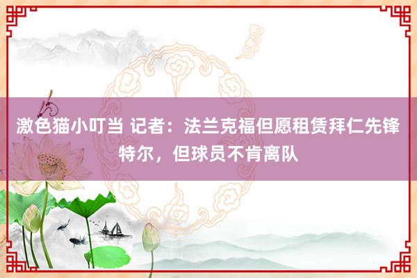 激色猫小叮当 记者：法兰克福但愿租赁拜仁先锋特尔，但球员不肯离队