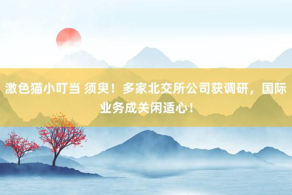 激色猫小叮当 须臾！多家北交所公司获调研，国际业务成关闲适心！
