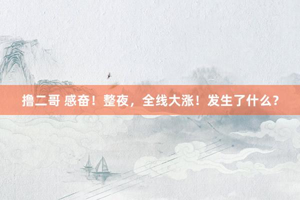 撸二哥 感奋！整夜，全线大涨！发生了什么？