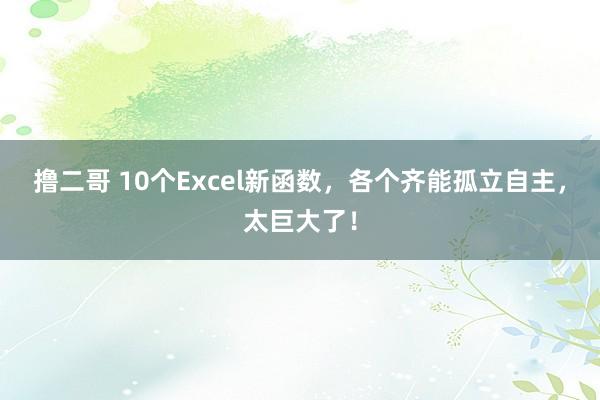 撸二哥 10个Excel新函数，各个齐能孤立自主，太巨大了！