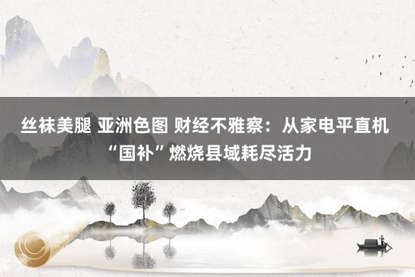 丝袜美腿 亚洲色图 财经不雅察：从家电平直机 “国补”燃烧县域耗尽活力