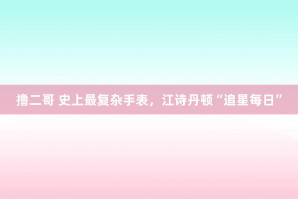 撸二哥 史上最复杂手表，江诗丹顿“追星每日”