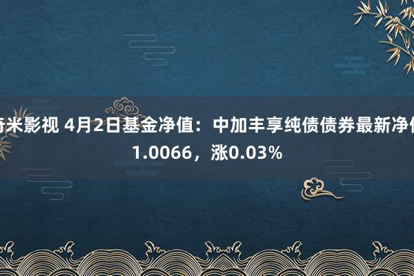 奇米影视 4月2日基金净值：中加丰享纯债债券最新净值1.0066，涨0.03%
