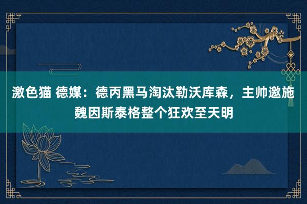 激色猫 德媒：德丙黑马淘汰勒沃库森，主帅邀施魏因斯泰格整个狂欢至天明